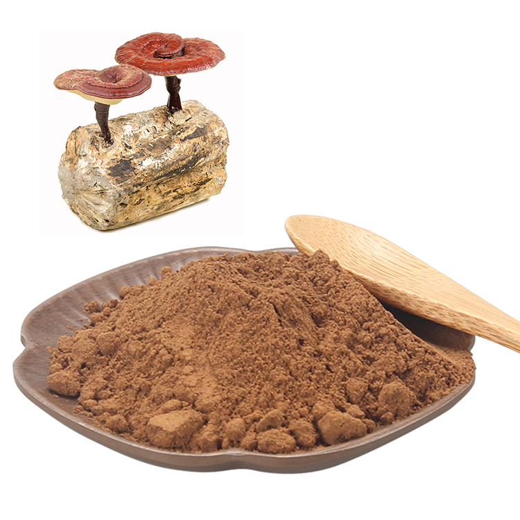 Must-Have Adaptogen for Busy Professionals: Reishi Extract
